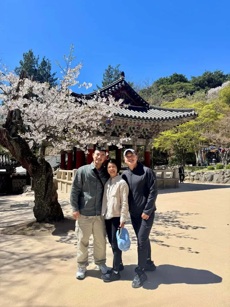 Independent local guide showing a couple a quiet viewpoint over the Silla capital on a private gyeongju city tour in Gyeongju, South Korea